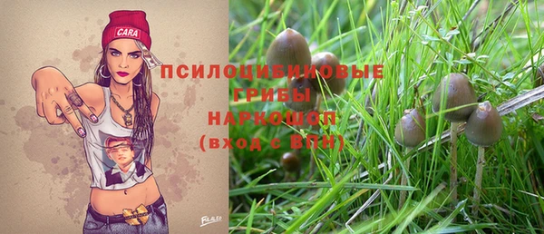 мдма Гусиноозёрск
