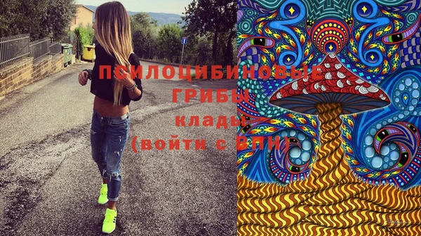 мдма Гусиноозёрск