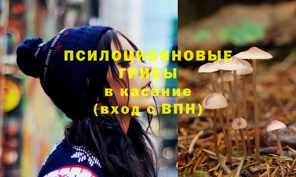спиды Гусь-Хрустальный