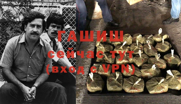 хмурый Гусев